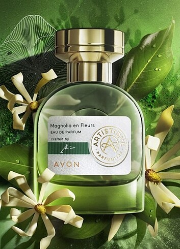 artisrique magnolia en fleurs