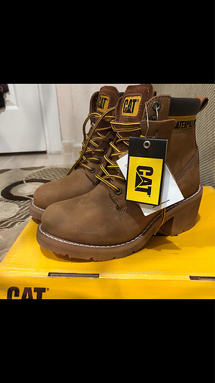 Cat Cat bot 38 numara