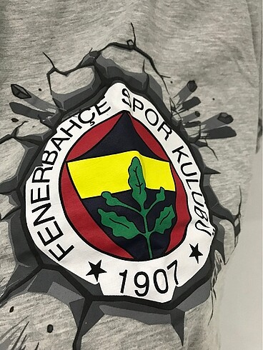 Fenerbahçe Fenerbahçe 5 yaş