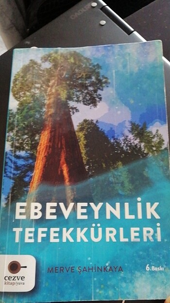 Kitap