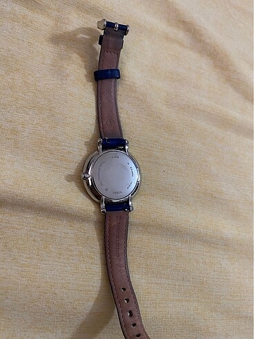 Beden Saat fossil