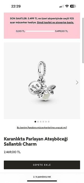 Pandora Pandora bileklik ve çarm