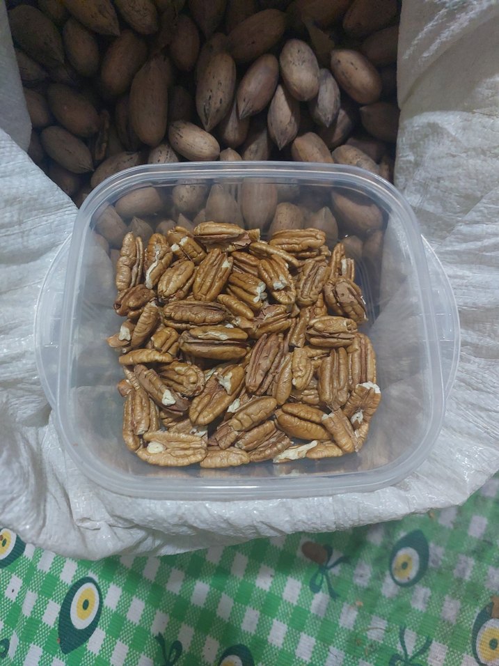 Pekan Cevizi - Görsel 3