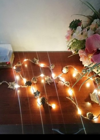 20 LED Işık Jüt İp ve 240 cm Kablo - Görsel 12