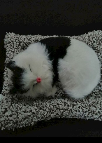 Siyah beyaz peluş uyuyan kedi oyuncak - Görsel 5