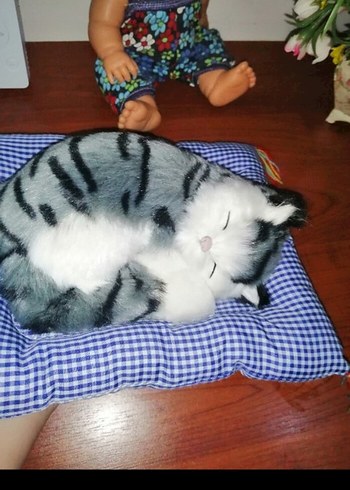 Gri Çizgili Uyuyan Kedi Peluş Oyuncak - Görsel 4