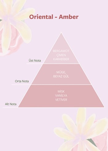 Dolce Bella Kadın Parfümü - Görsel 5