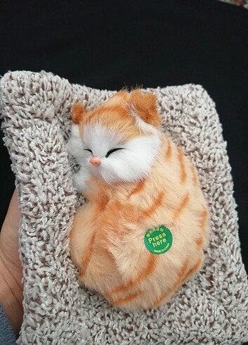 Beden Renk Miyavlayan peluş kedi