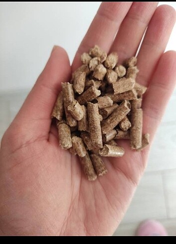 Kedi kumu çam peleti pellet