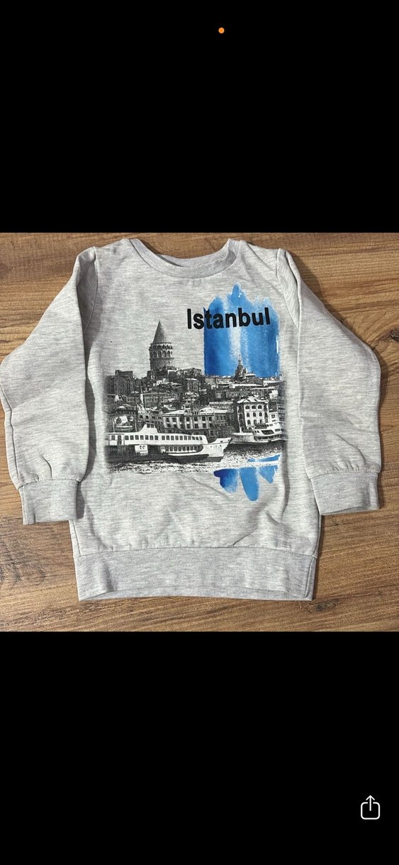 Gri İstanbul Baskılı Erkek Sweatshirt - Görsel 2