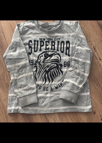 Gri Erkek Çocuk Baskılı Uzun Kollu Sweatshirt - Görsel 2