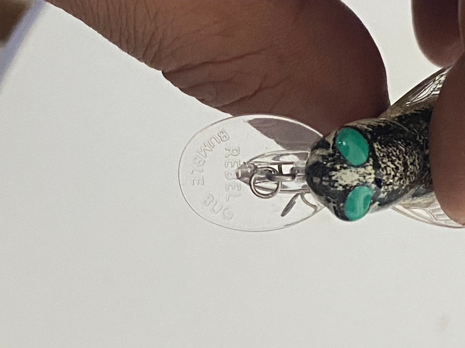 Sahte yem - Görsel 3