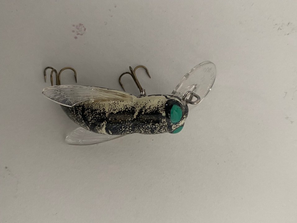 Sahte yem - Görsel 2