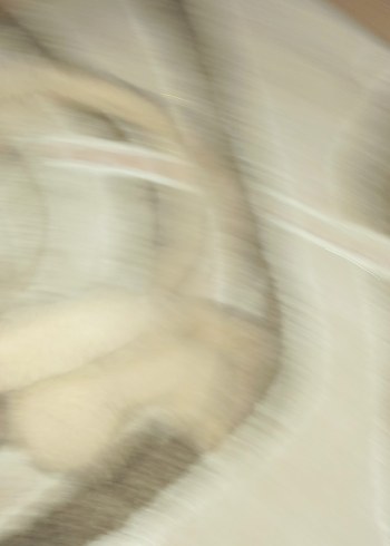 Bej Peluş Tavşan Oyuncak - Görsel 4