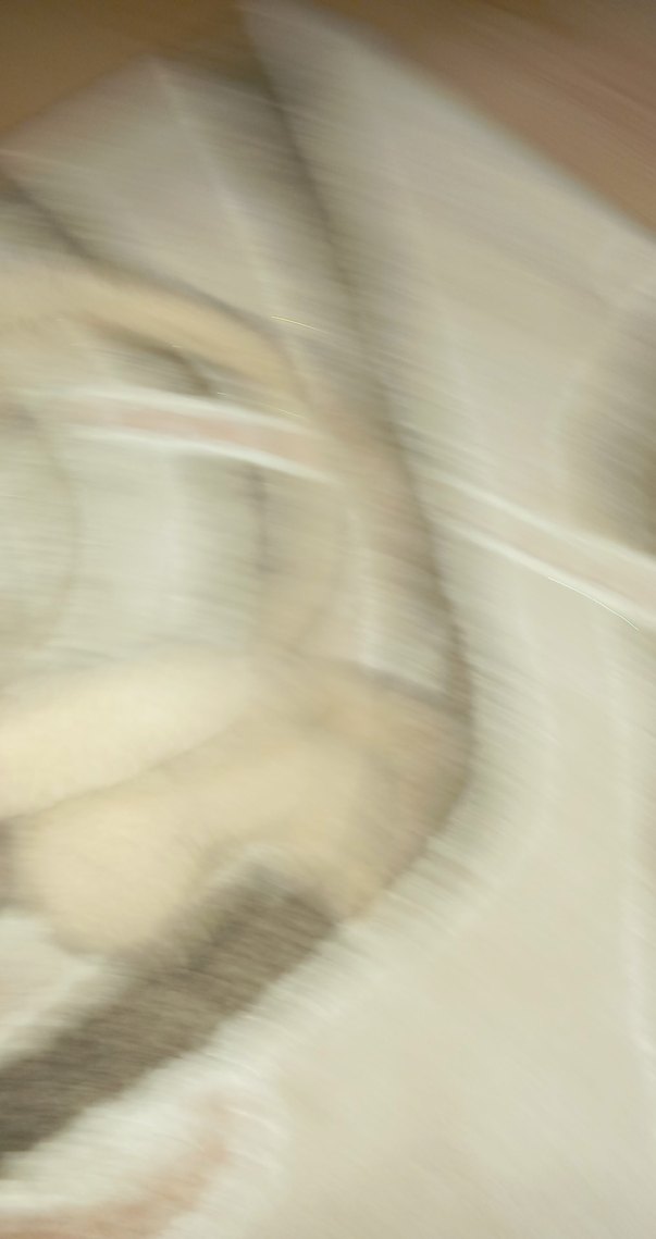 Bej Peluş Tavşan Oyuncak - Görsel 4