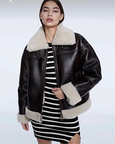 Stradivarius mont