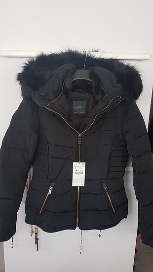 zara mont