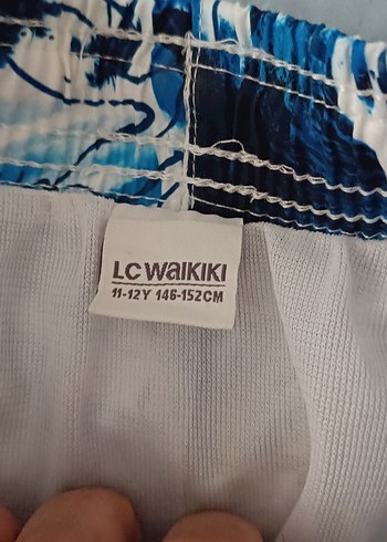 LC Waikiki Mavi Renkli Bohem Desenli Erkek Şort