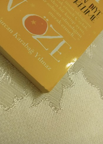 Çaylak ile Filozof 2 Kitap - Görsel 3