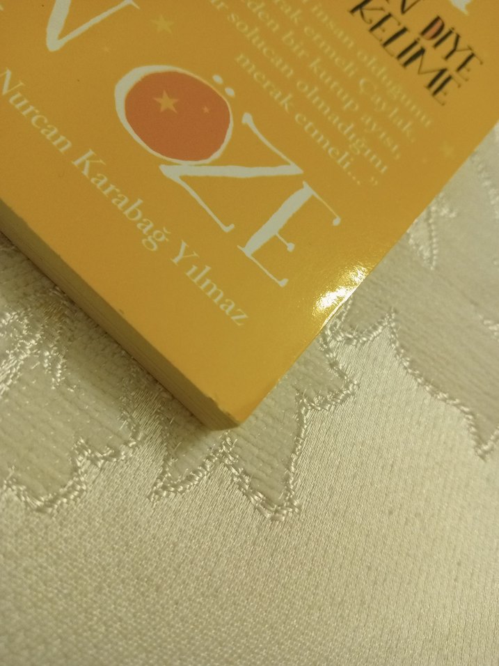 Çaylak ile Filozof 2 Kitap - Görsel 3