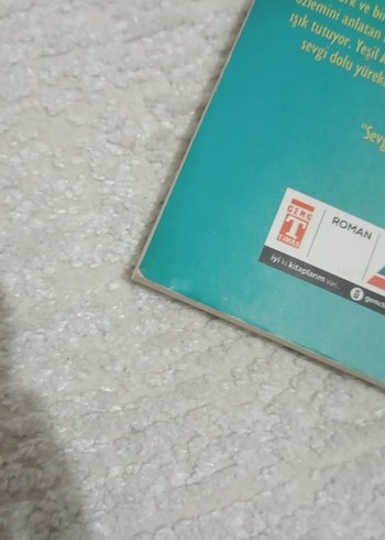 Yeşil Adanın Çocukları Kitap - Görsel 3