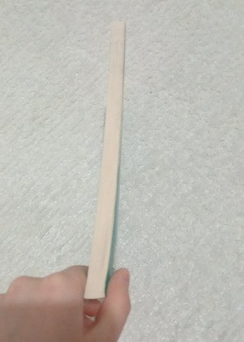 Yeşil Adanın Çocukları Kitap - Görsel 5