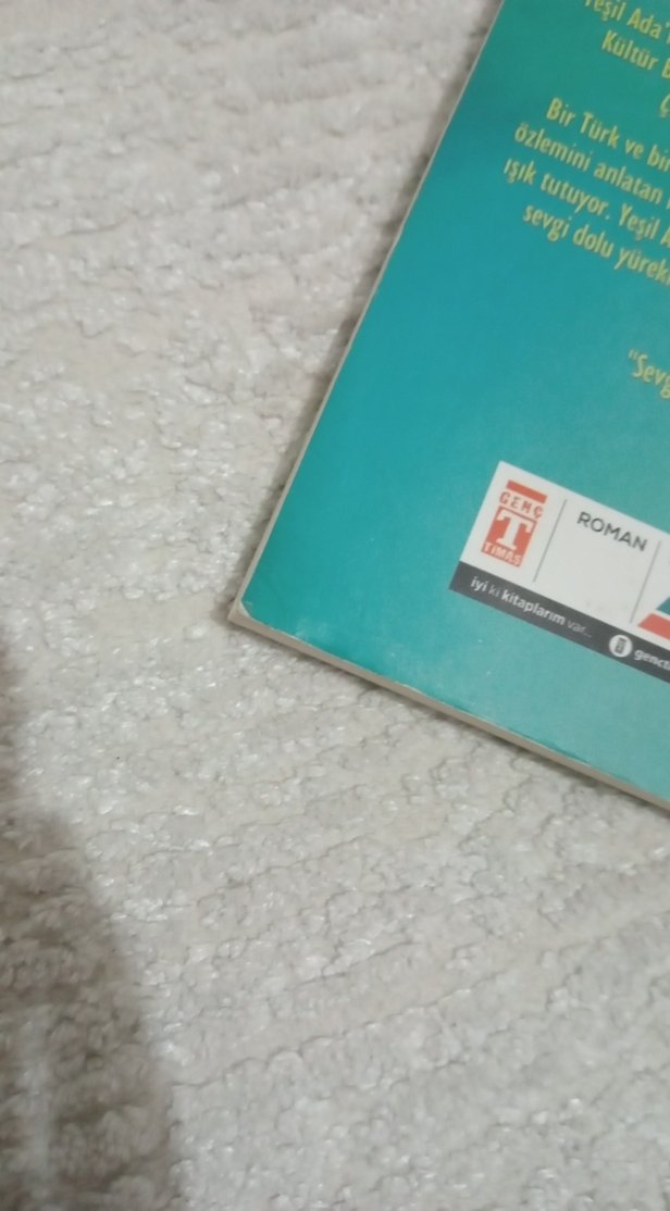 Yeşil Adanın Çocukları Kitap - Görsel 3