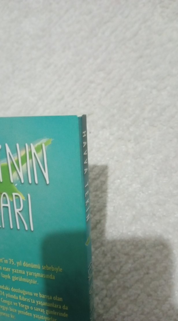 Yeşil Adanın Çocukları Kitap - Görsel 4