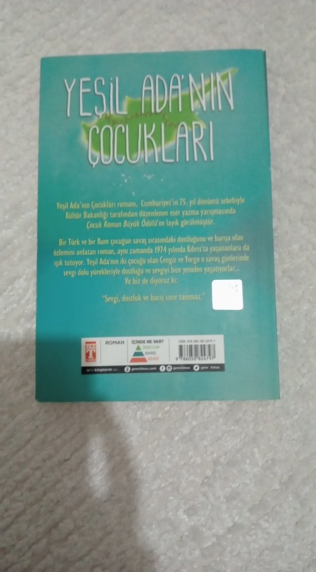 Yeşil Adanın Çocukları Kitap - Görsel 2