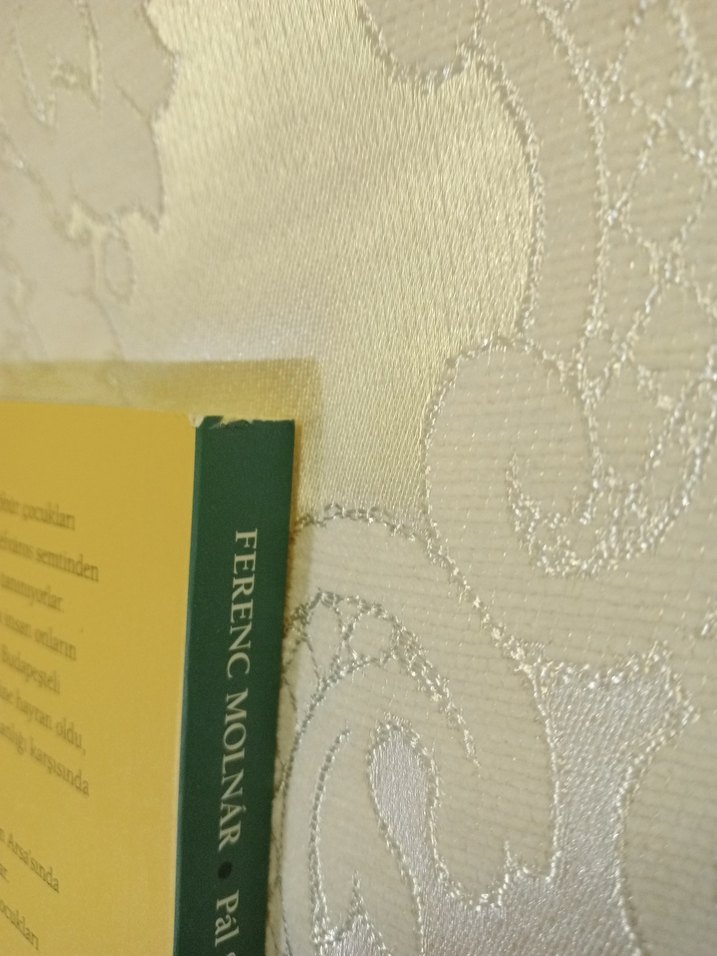 Ferenc Molnár Kitap - Görsel 3