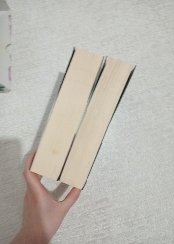 Gezgin ve Yezgin Roman Seti - Görsel 8