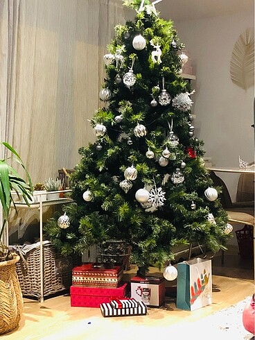 Beden Yılbaşı ağacı