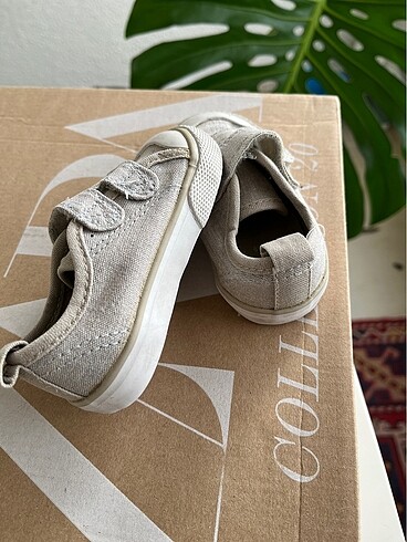 19 Beden Erkek çocuk converse