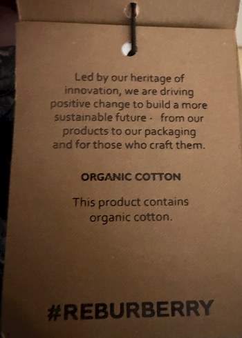 Gri Burberry Erkek Rozeti - Görsel 10