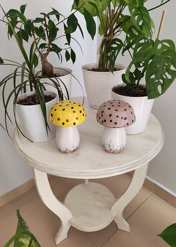 Alçı ve soda şisesiyle Mantar Figürleri - Görsel 3