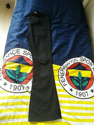 İspanyol paca