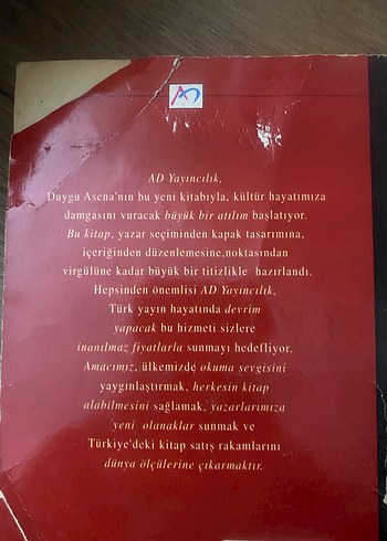 Değişen Birşey Yok - Duygu Asena - Görsel 2