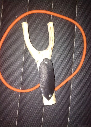 şahane kuş sapanı - Görsel 2