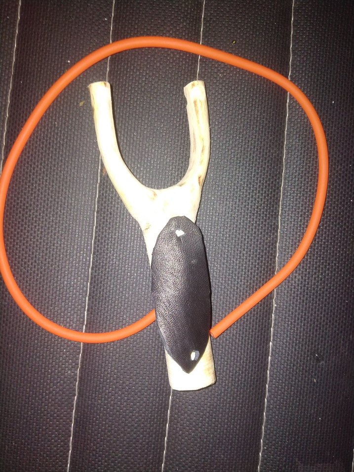 şahane kuş sapanı - Görsel 2