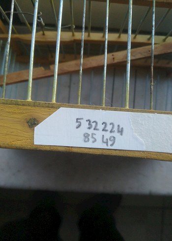 Bej Ahşap ve Metal Kuş Kafesi - Görsel 3