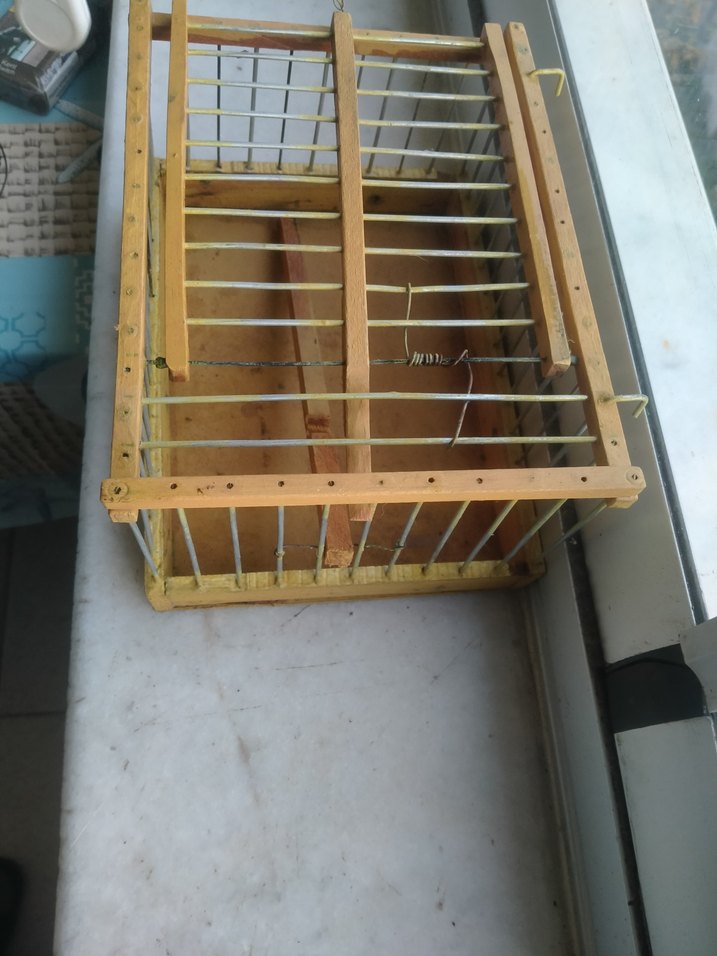 Bej Ahşap ve Metal Kuş Kafesi - Görsel 2