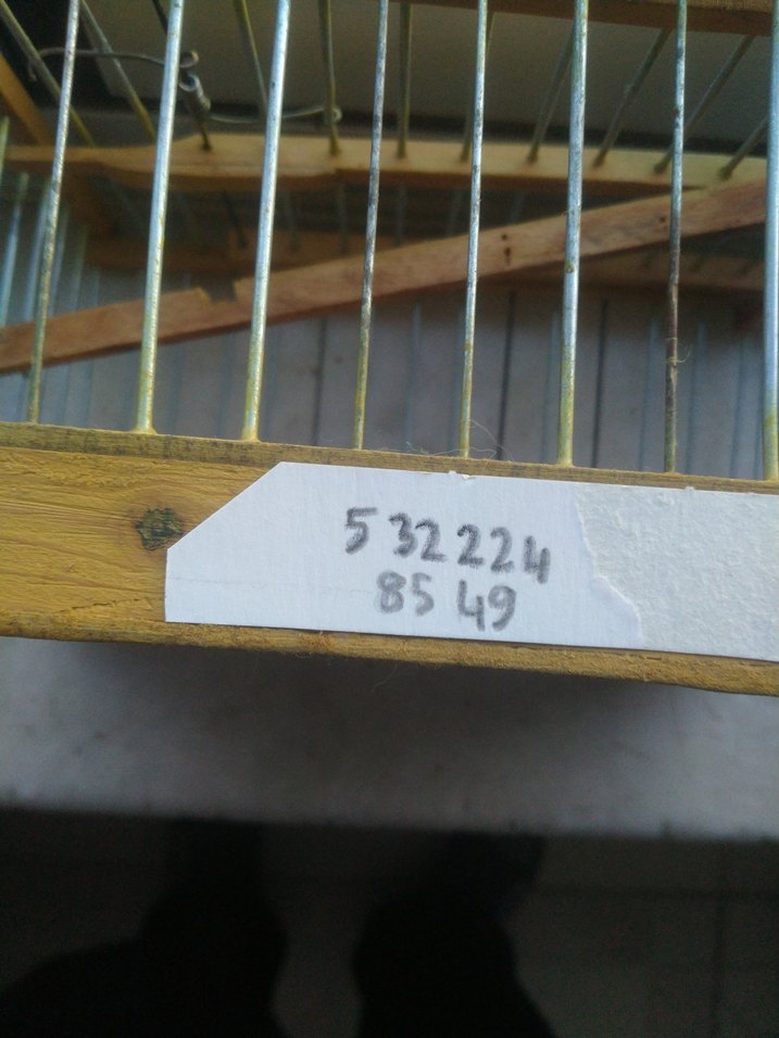 Bej Ahşap ve Metal Kuş Kafesi - Görsel 3