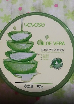 Aloe vera 