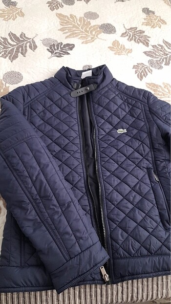 Lacoste erkek mont