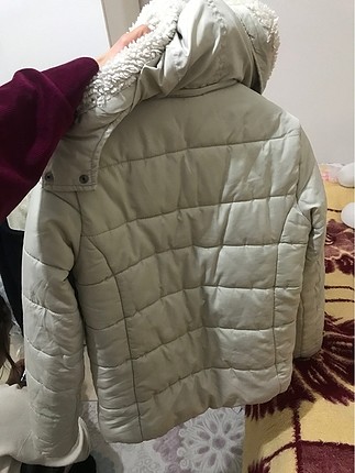 Ici yunlu mont