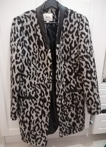 Koton kaban leopar