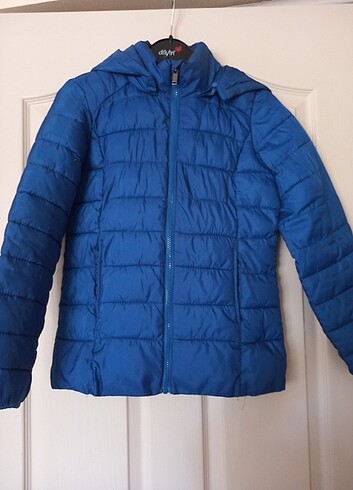 Koton mont