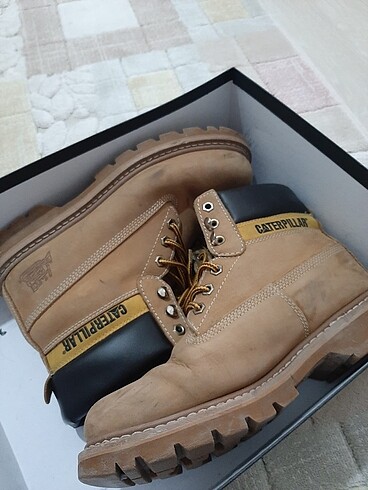 Cat erkek boy - Görsel 2