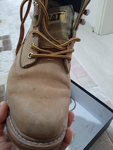 Cat erkek boy - Görsel 5