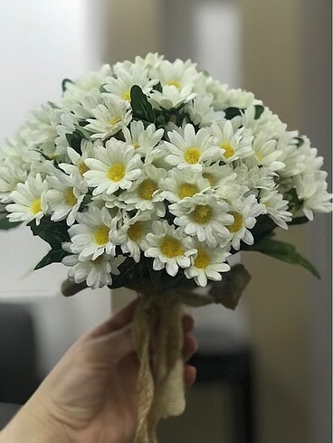  Beden beyaz Renk Papatya gelin çiçeği